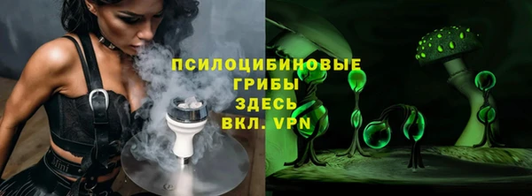 мяу мяу кристалл Корсаков