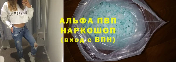 мяу мяу кристалл Корсаков